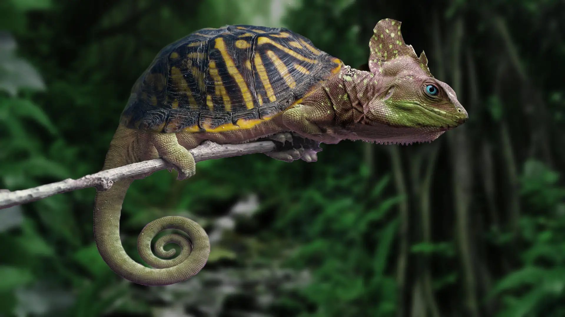Hybrid Reptile Created in Photoshop made of two species of Ihuana and Chameleon
